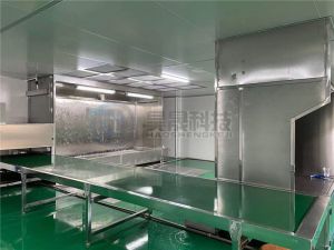 噴（pēn）塑（sù）塗裝生產線